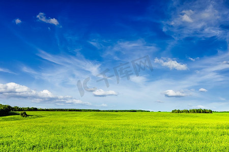 春夏新品榜单摄影照片_春天夏天背景—绿色的草地草地风景与蓝天的风景。春夏绿野风景景观 