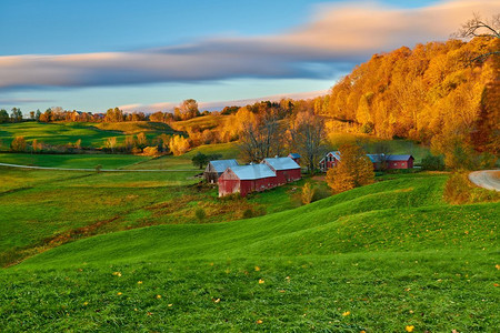 岭南风情摄影照片_美国佛蒙特州秋天阳光明媚的早晨，带谷仓的珍妮农场