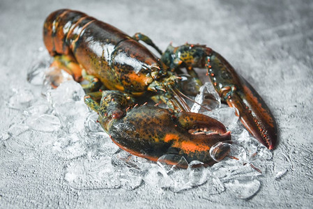 海鲜摄影照片_新鲜龙虾贝类在海鲜餐厅熟食/生龙虾在一个黑色石头桌面视图，选择性焦点