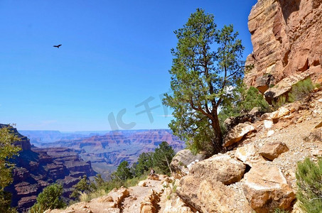 俯瞰沙漠摄影照片_俯瞰亚利桑那州大峡谷国家公园南缘