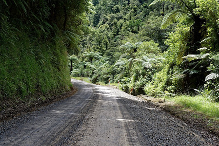 新西兰塔拉纳基被遗忘的世界公路。新西兰塔拉纳基穿过农田的寂寞风景公路