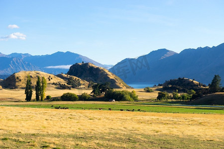 田野路摄影照片_风景如画。新西兰阿尔卑斯山和田野的自然景观