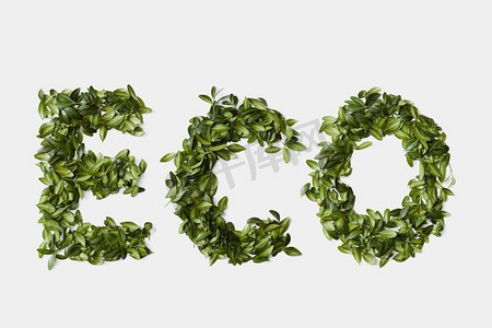 数字生态摄影照片_字母词ECO从绿色叶子在白色背景隔绝。生态标志从叶子孤立在白色背景