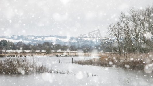 英国乡村积雪覆盖地面和树叶的冬季景观