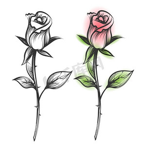 素描的墨水和五颜六色的玫瑰。手绘玫瑰，矢量插图-水墨素描和白色背景上孤立的五颜六色的花