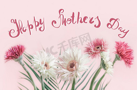 母亲节快乐贺卡，上面有美丽的花束非洲菊，粉色背景，正视