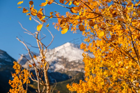 科罗拉多州落基山脉的秋天落基山脉国家公园的秋天USA. 