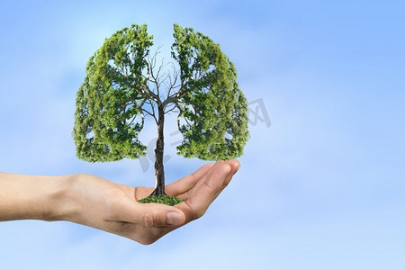 生态健康理念。手握绿树概念特写