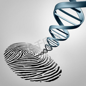 仿生物技术摄影照片_基因指纹是一种指纹，DNA作为亲子鉴定或生物技术基因组图标的医学识别符号出现。
