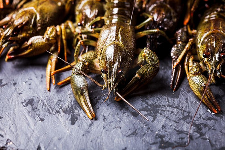 暗色的背景摄影照片_一群新鲜的小龙虾在暗色的石板上。新鲜小龙虾特写
