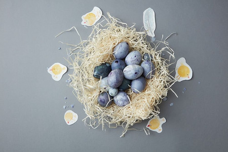 巢顶视图与蓝色鸡蛋和水彩鸡周围在浅蓝色背景。在鸟巢里画复活节彩蛋