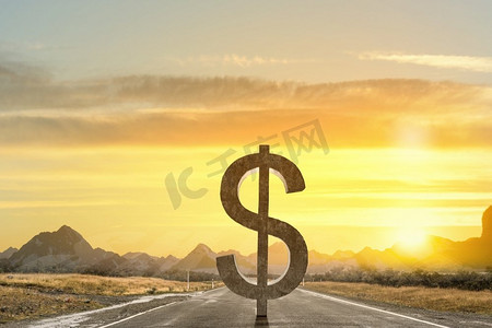 大石摄影照片_你的金钱投资。柏油路上的大石头美元货币标志