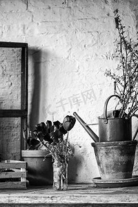室内盆景摄影照片_美丽的复古英国乡村花园盆景棚室内细节