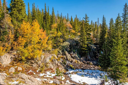 初雪摄影照片_美国科罗拉多州落基山国家公园，季节变换，初雪和秋日的白杨树。