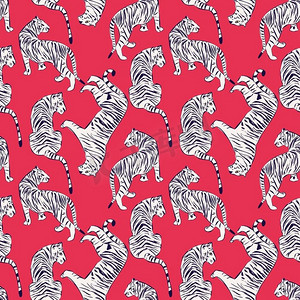 手拉的老虎无缝的样式，在不同位置的大猫，在红色的白虎，异国情调的背景，平的传染媒介例证