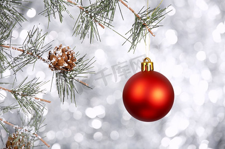 红色的球挂在一根松枝上，背景是银色的。圣诞饰品