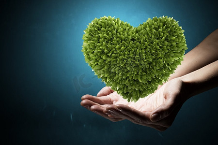 对大自然的爱。人手中的绿色心脏代表生态理念