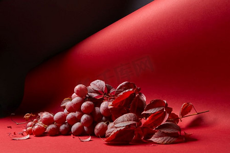 红葡萄摄影照片_新鲜的红葡萄与叶子在红色背景。一串红葡萄在红色背景
