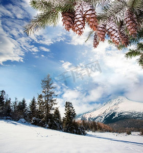 冬天去山上。积雪覆盖的山路两旁有积雪覆盖的树木