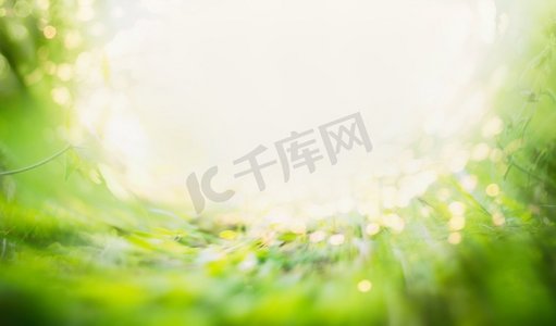 模糊的夏日背景，绿草如茵，阳光灿烂