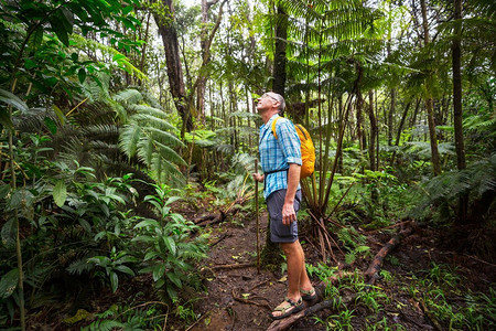 在夏威夷徒步旅行。徒步旅行者在绿色丛林的小路上，夏威夷，美国