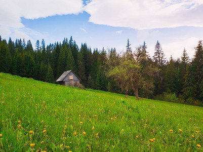 木屋在山上，阳光明媚的春天与绿色的草地和开花的草地。 
