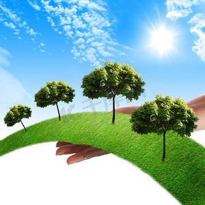 手中，一行行青草，树木映衬着蓝天。环境保护的象征