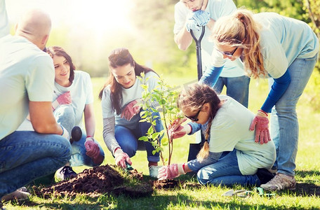 志愿、慈善、人与生态理念--一群快乐的志愿者在公园种树。一群志愿者在公园里植树