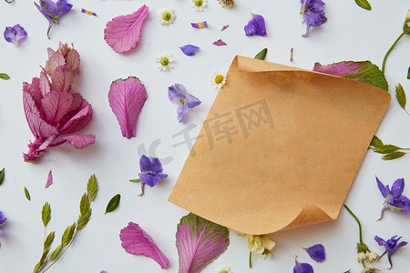 文字花卉摄影照片_花蕾五颜六色的花朵在白色背景上用一张牛皮纸作文字，平铺。以鲜花为背景