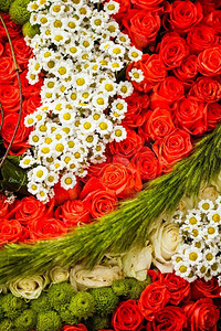 红玫瑰和洋甘菊作为婚礼设计的图案。花纹俯视图