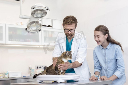 女孩站在医生检查猫在表上在兽医诊所