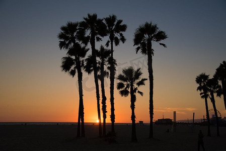阅兵剪影摄影照片_加州圣莫尼卡海滩黄昏时棕榈树的剪影