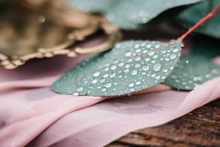 婚礼装饰的绿叶和雨滴的特写，宏图