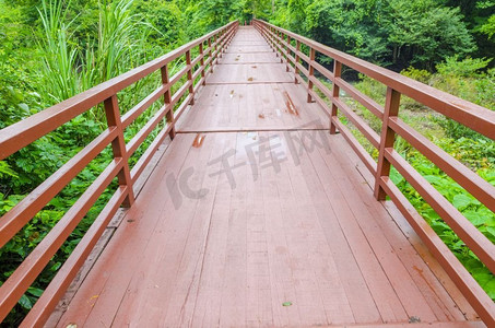 雨桥梁摄影照片_泰国考艾国家公园热带森林的桥梁