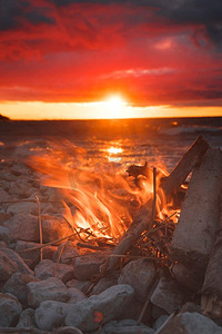 篝火在海边的森林里的露营中燃烧。