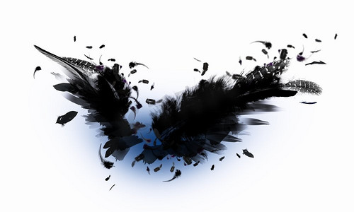 黑色翅膀天使摄影照片_黑色的翅膀。浅色背景下黑色翅膀的抽象形象