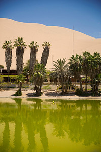 秘鲁伊卡附近被沙丘环绕的绿洲