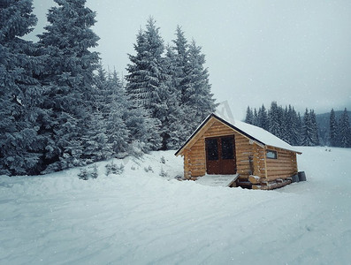 圣诞树木摄影照片_雪后在冷杉林的乡村木屋。传统的高山小屋在山区。