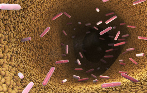 肠道吸收力摄影照片_消化系统肠道中的细菌。3D插图。消化系统中的肠道细菌