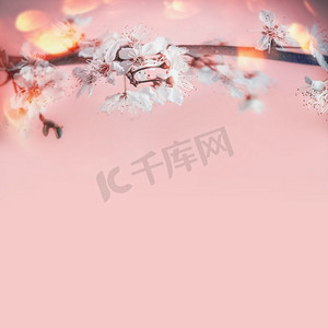 的粉色背景摄影照片_美丽的春天背景，白色樱花，淡粉色背景，阳光波克，边框