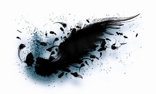 黑色的翅膀。浅色背景下黑色翅膀的抽象形象