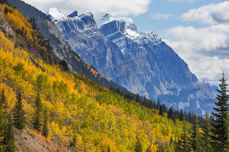 美丽的秋天在加拿大山区。秋季背景。