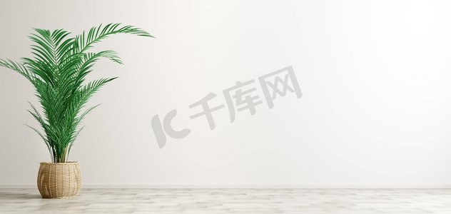 空的房间内部背景，篮子植物罐与棕榈在白色墙壁3d渲染