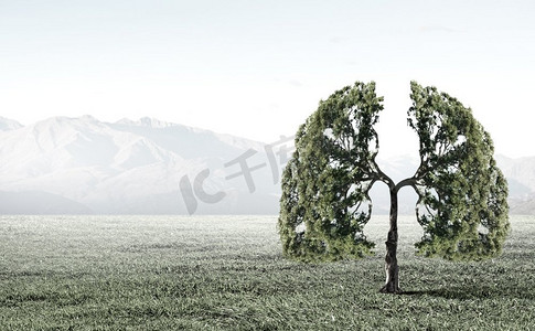 大气污染.绿色的树形状像人的肺的概念图像