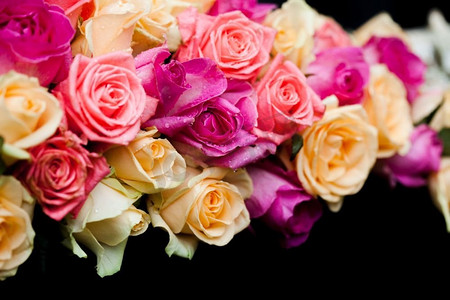 玫粉色摄影照片_奢华的粉色和米色玫瑰在黑色背景上近在咫尺。粉色和米色玫瑰花边框