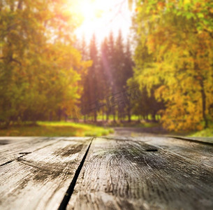 漂亮的桌面背景摄影照片_森林里的木桌。夕阳西下的秋林木桌