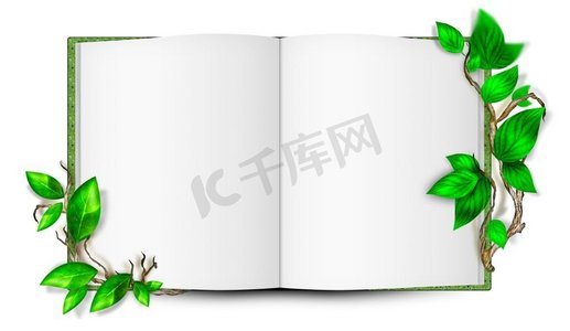 简单的空白书插图，周围有树叶。生态观