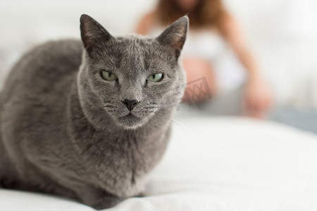 猫咪和人摄影照片_猫和母性。走近身旁有孕妇的猫咪