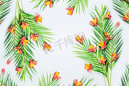 绿色热带棕榈叶和异国情调的花朵，白色背景，顶视。画框。平躺着。为您的设计复制空间