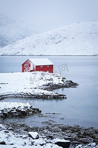 峡湾岸边传统的红色罗布房子，冬天下着大雪。罗福腾群岛，挪威。冬天的红罗布房子，罗福滕群岛，挪威